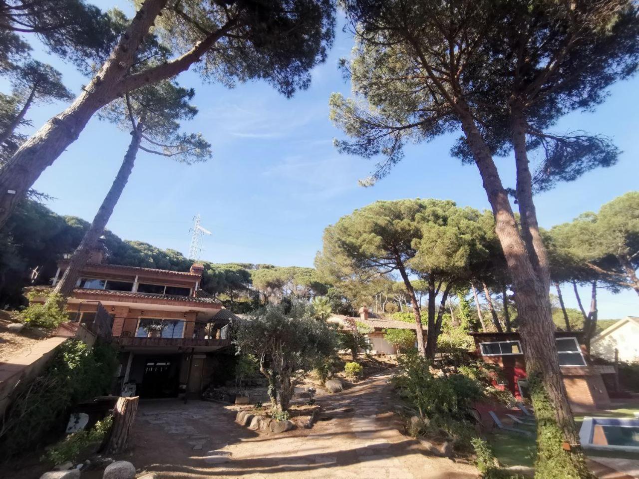 Villa Maresme & Villa Rosa Матаро Экстерьер фото